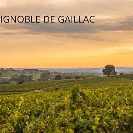 Maison Mistinguette - Spacieuse - Cahuzac-sur-Vere